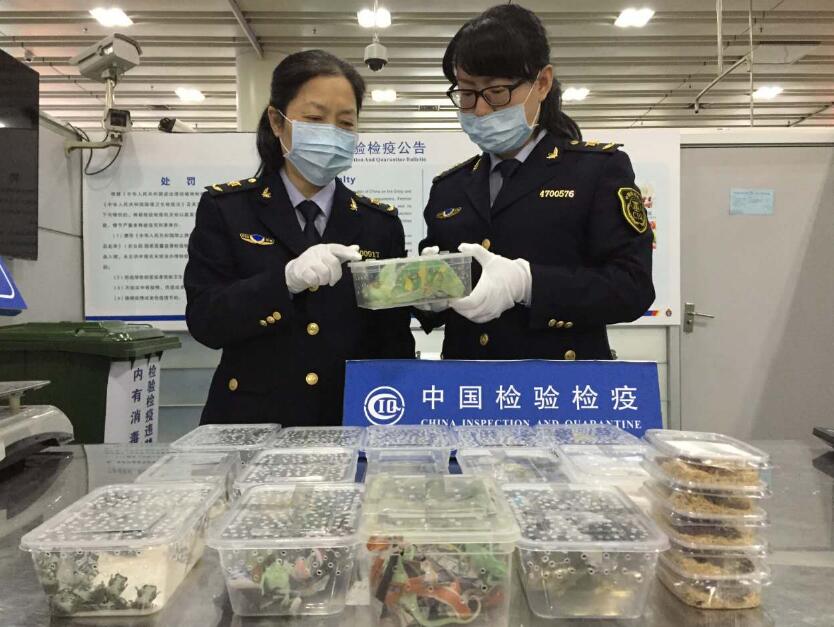 场站深圳口岸包车